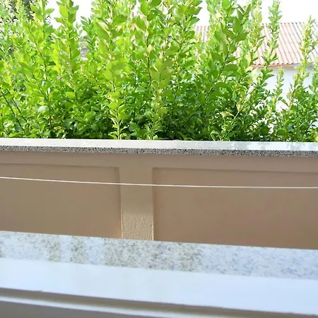 Panorama Summer Apartments منزل للإقامة *